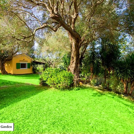 House In The Olive Garden Apartman Ájosz Joánisz Kültér fotó