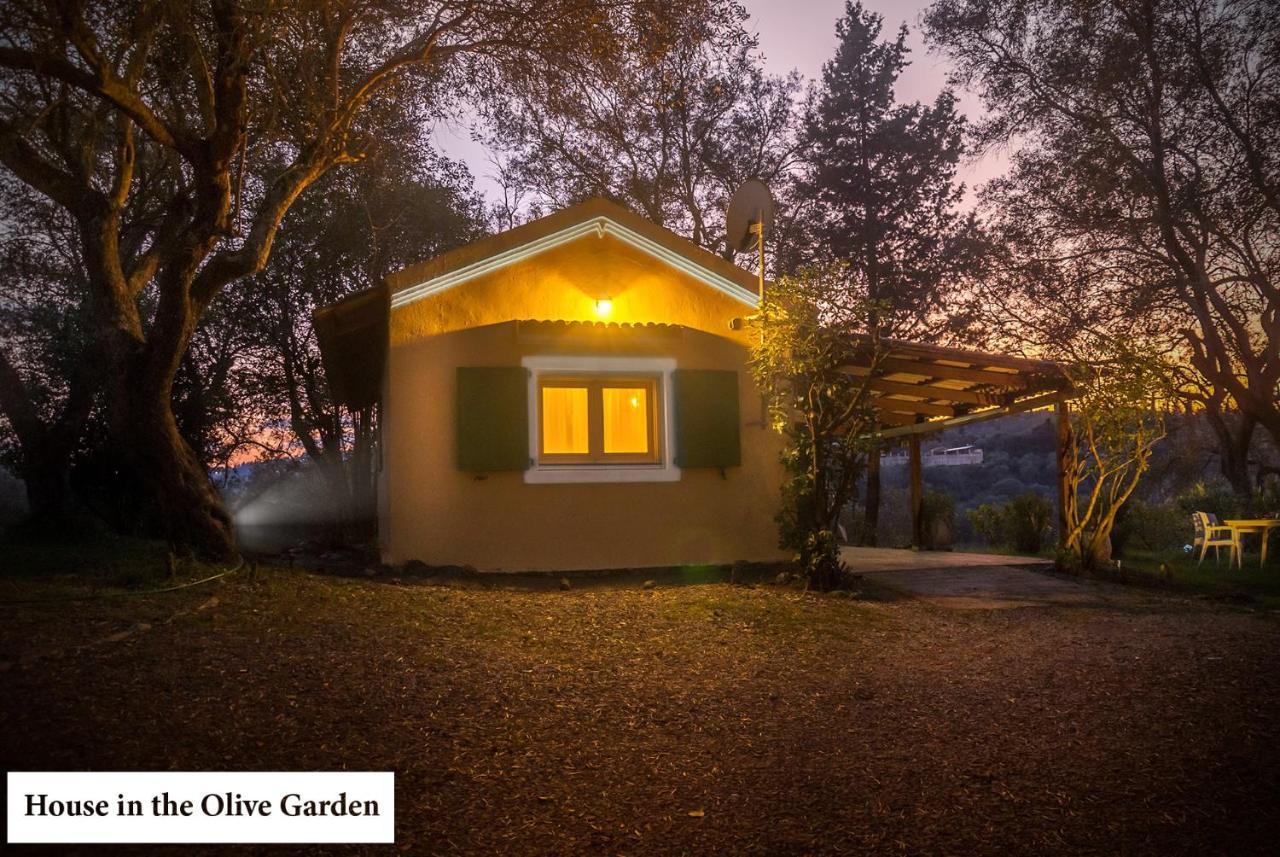 House In The Olive Garden Apartman Ájosz Joánisz Kültér fotó
