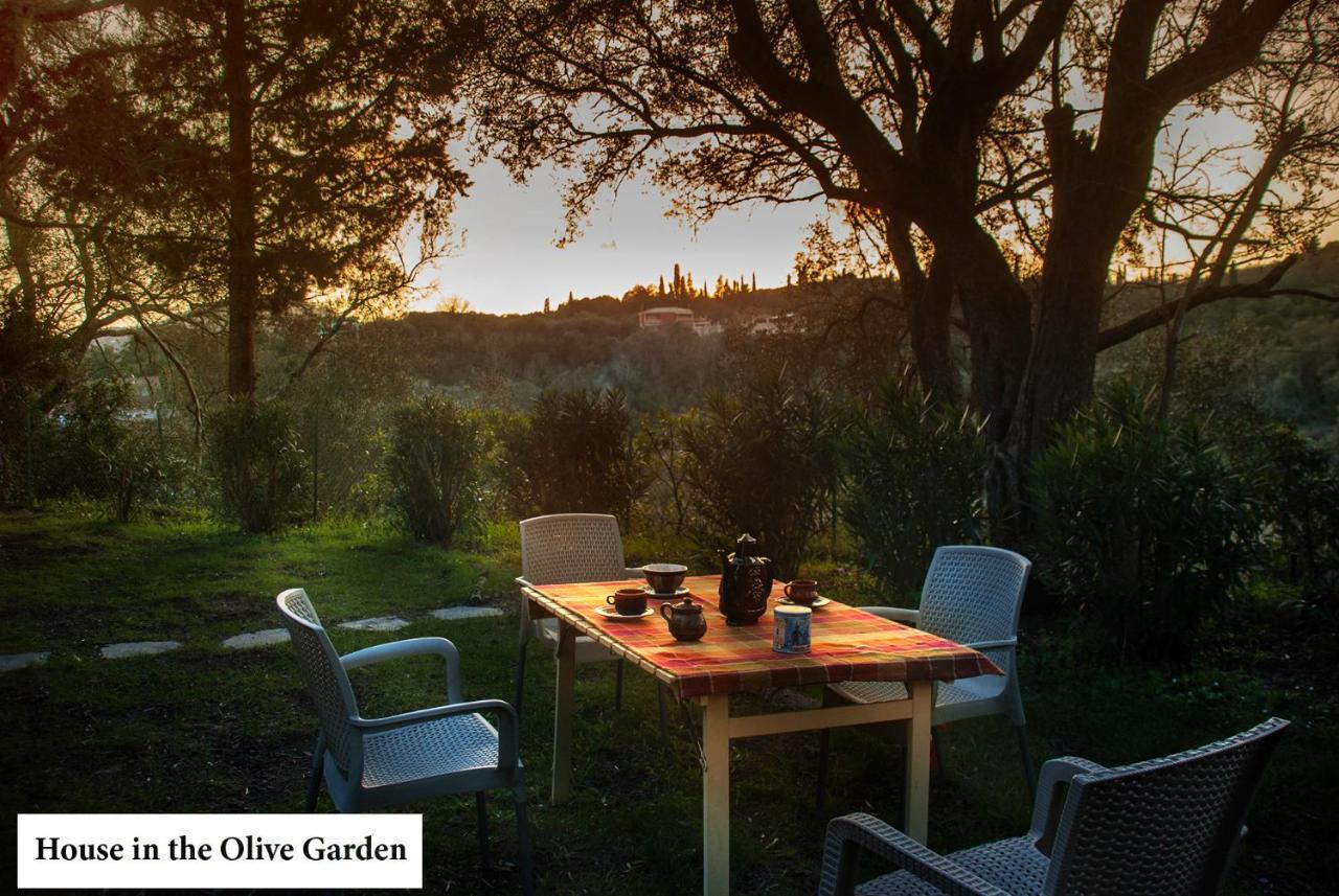 House In The Olive Garden Apartman Ájosz Joánisz Kültér fotó