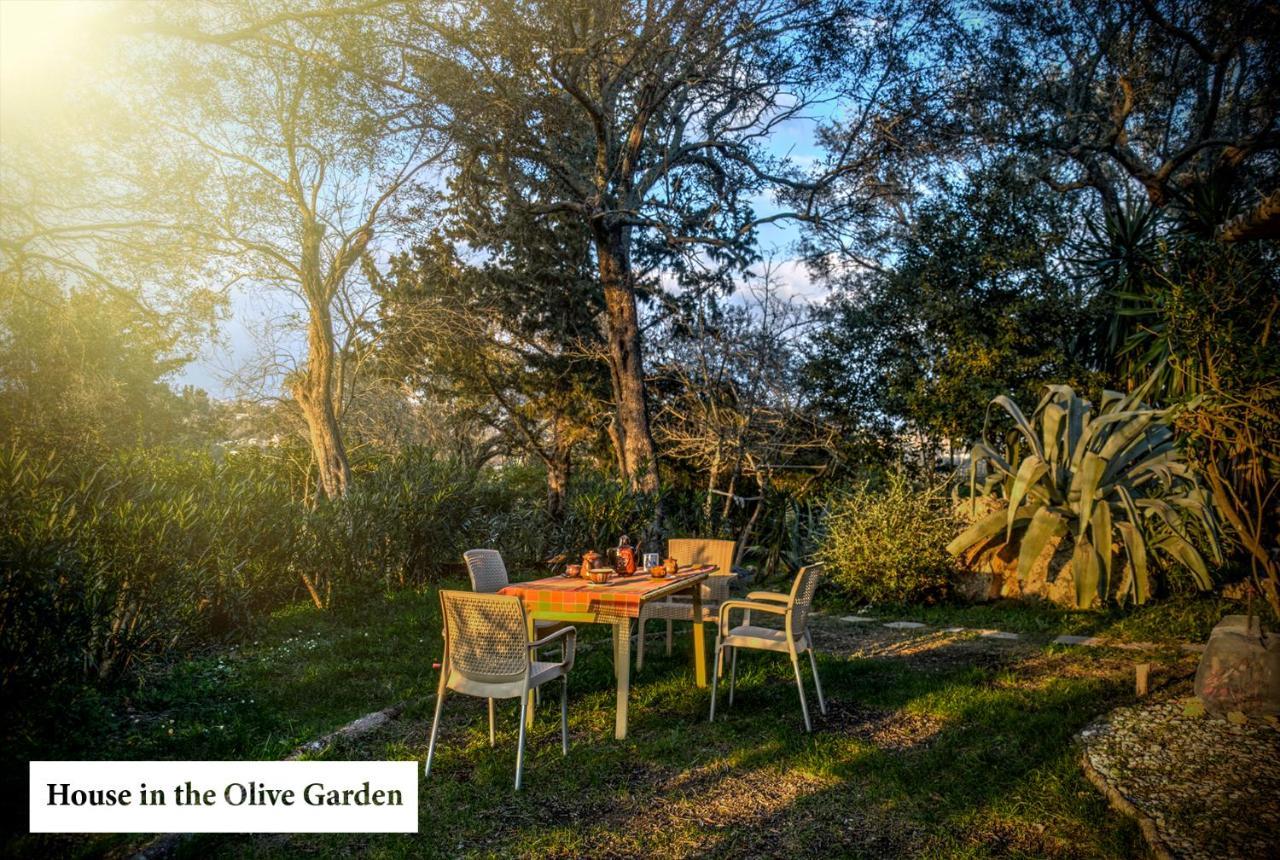 House In The Olive Garden Apartman Ájosz Joánisz Kültér fotó