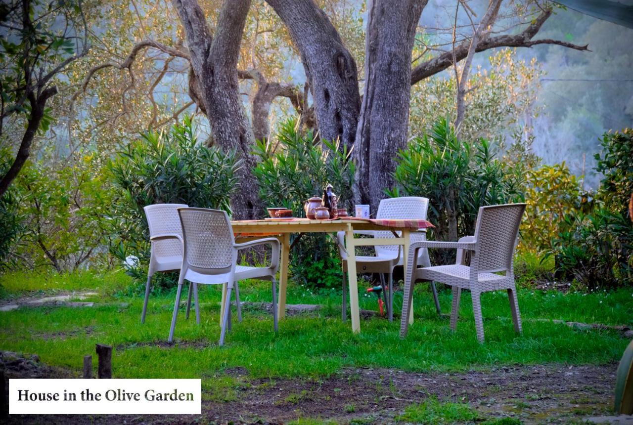 House In The Olive Garden Apartman Ájosz Joánisz Kültér fotó