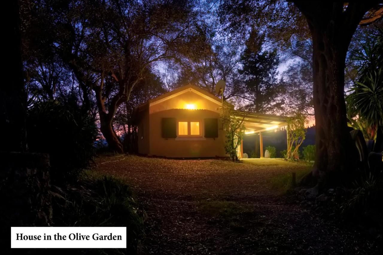 House In The Olive Garden Apartman Ájosz Joánisz Kültér fotó