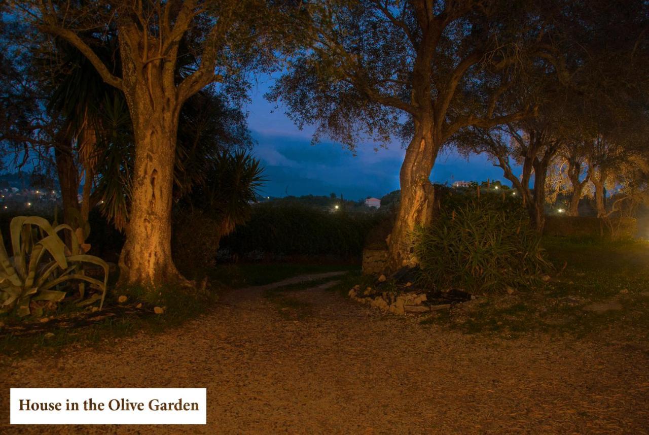 House In The Olive Garden Apartman Ájosz Joánisz Kültér fotó