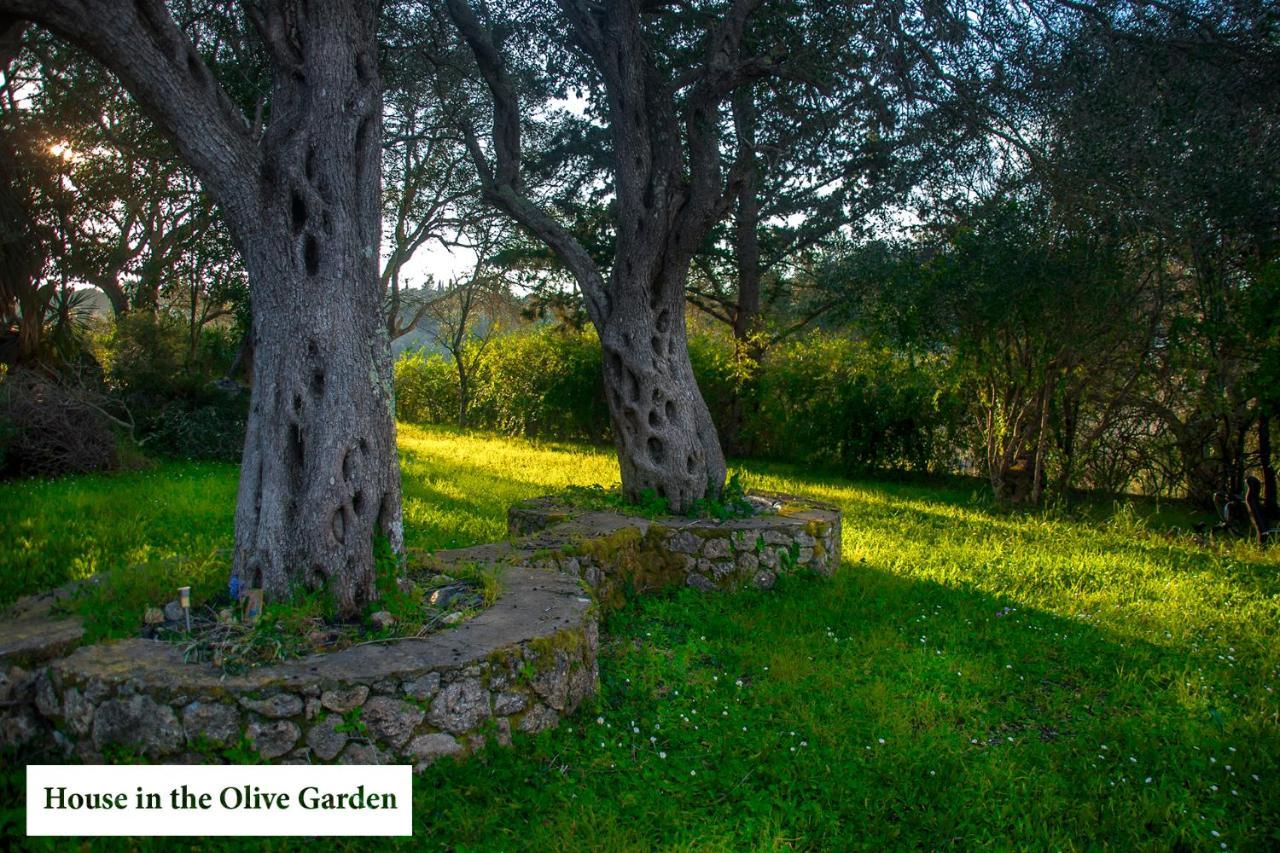 House In The Olive Garden Apartman Ájosz Joánisz Kültér fotó
