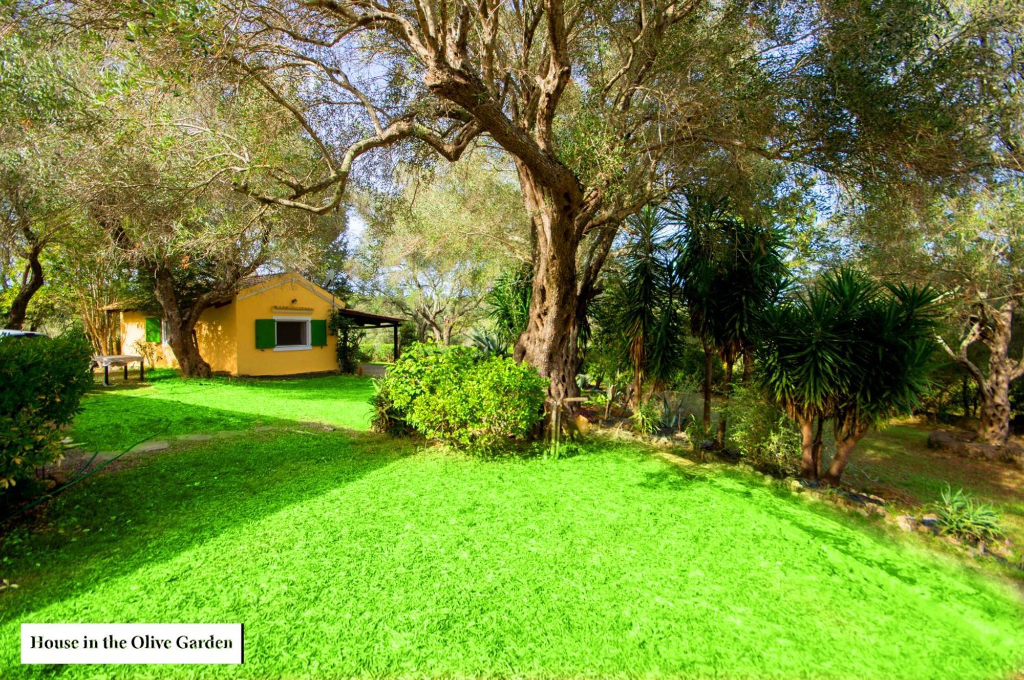 House In The Olive Garden Apartman Ájosz Joánisz Kültér fotó