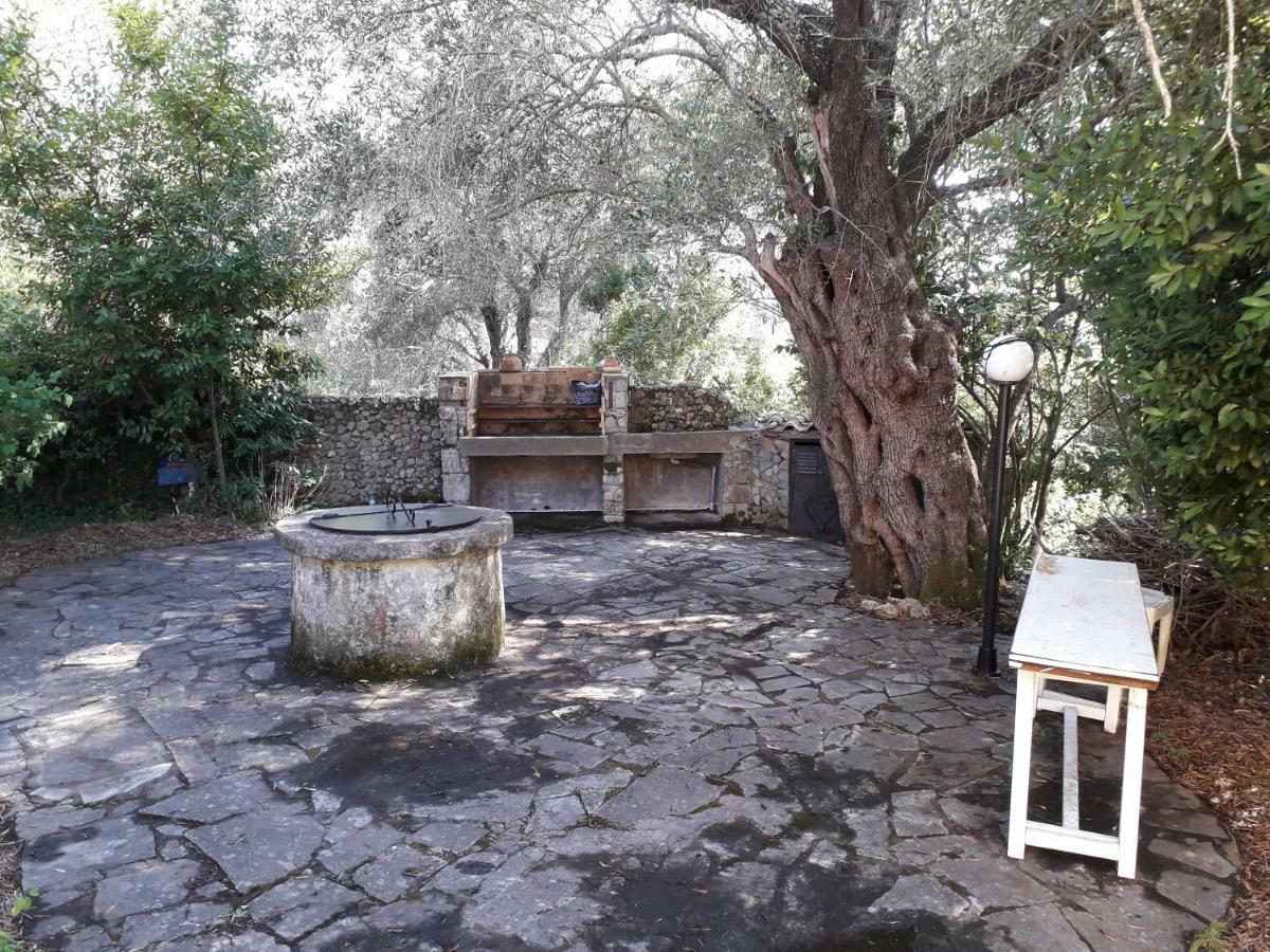 House In The Olive Garden Apartman Ájosz Joánisz Kültér fotó
